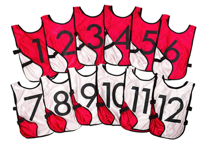 Reversible & Numbered Pinnies #1-12